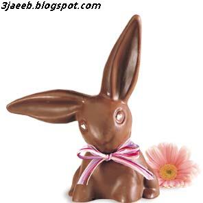  ارنت من شوكلاته.JPG